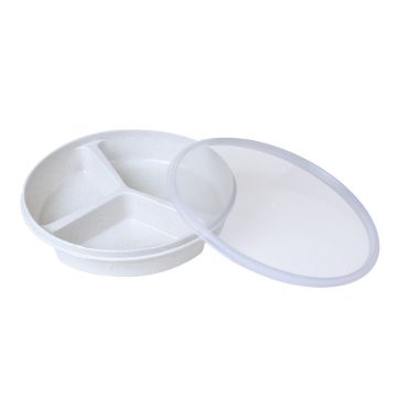 Picture of Parsons Section Plate with Lid